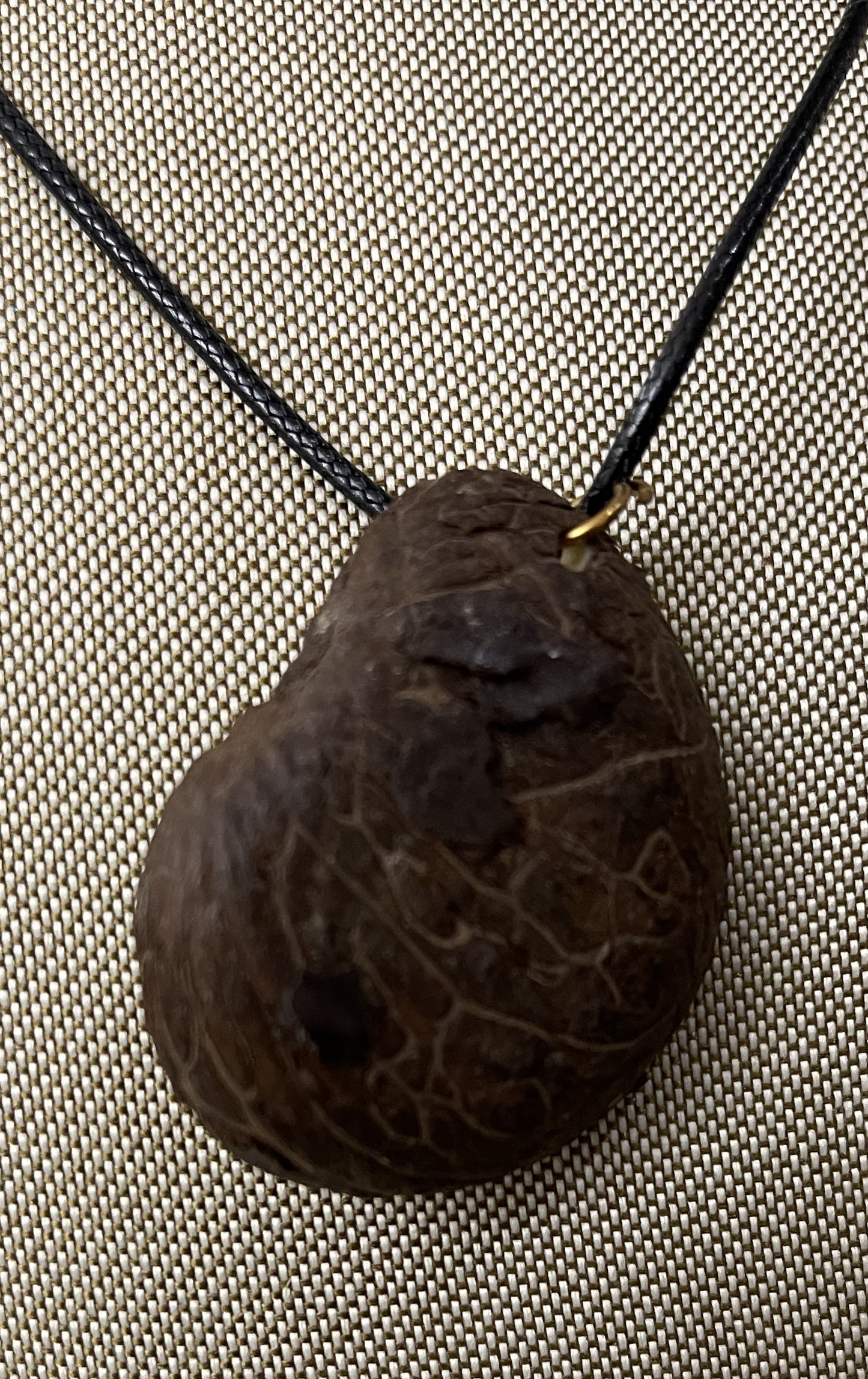 Poison Dart Frog Tagua Necklace Jewelry Pendant Panama