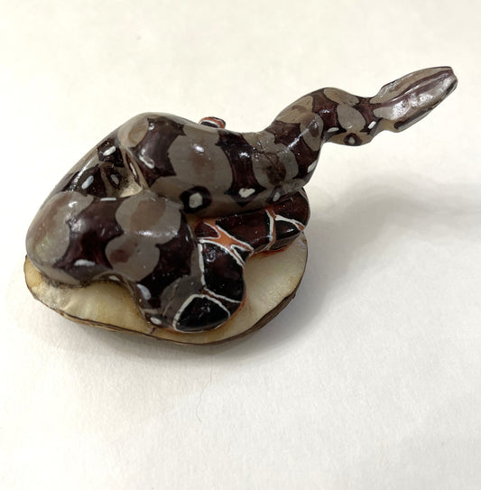Boa Constrictor Snake Tagua Carving Rainforest Panama