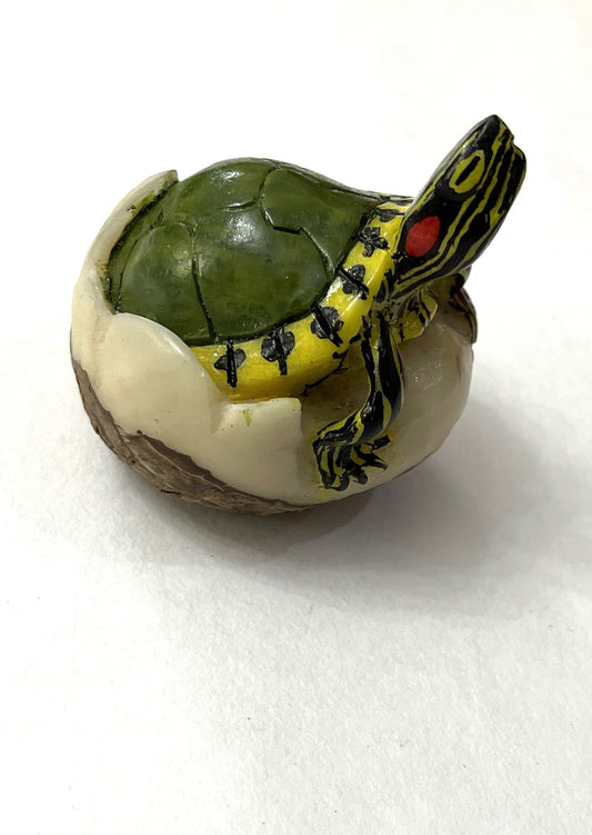 Turtle Tortoise Tagua Carving Rainforest Panama
