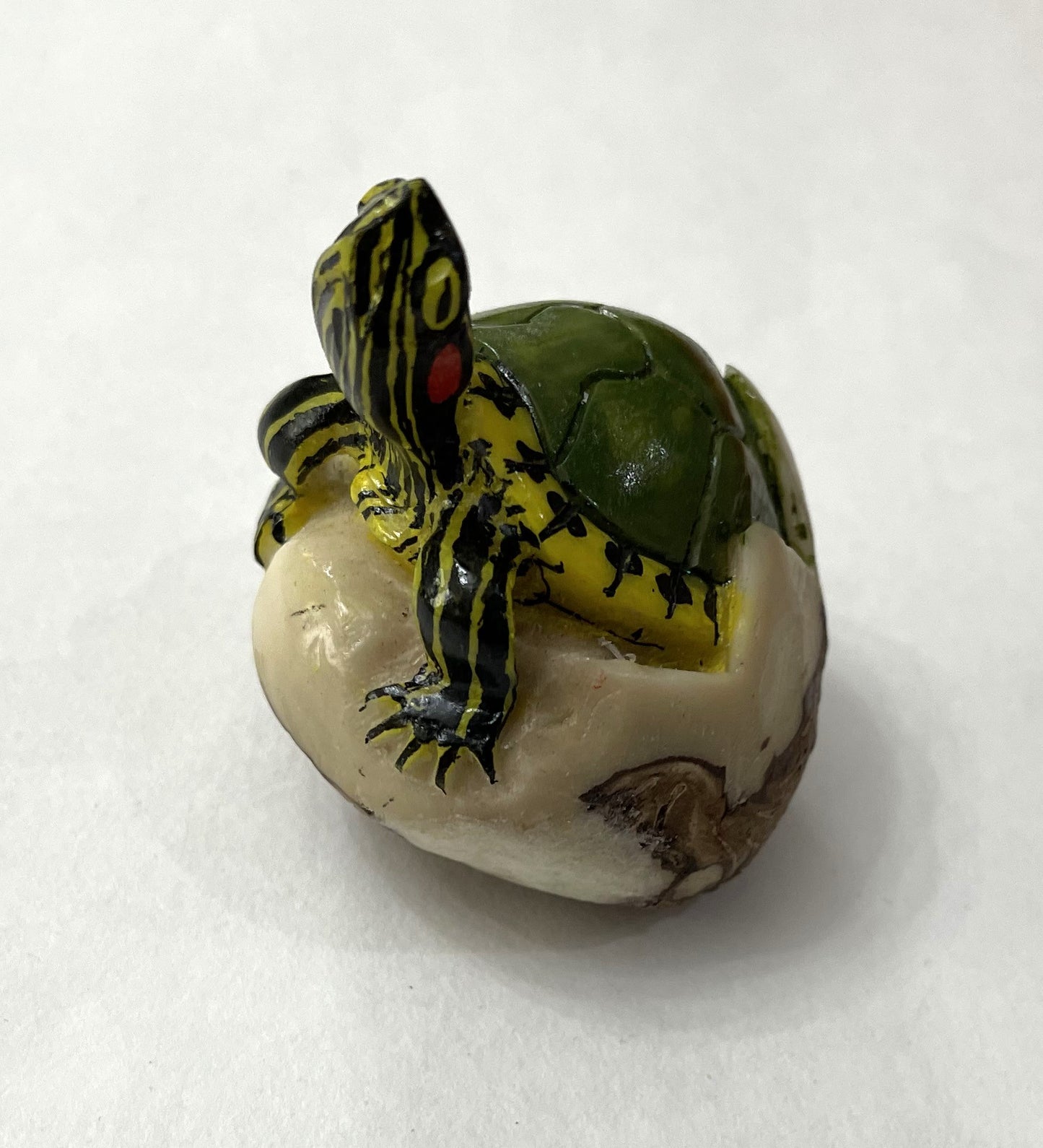 Turtle Tortoise Tagua Carving Rainforest Panama