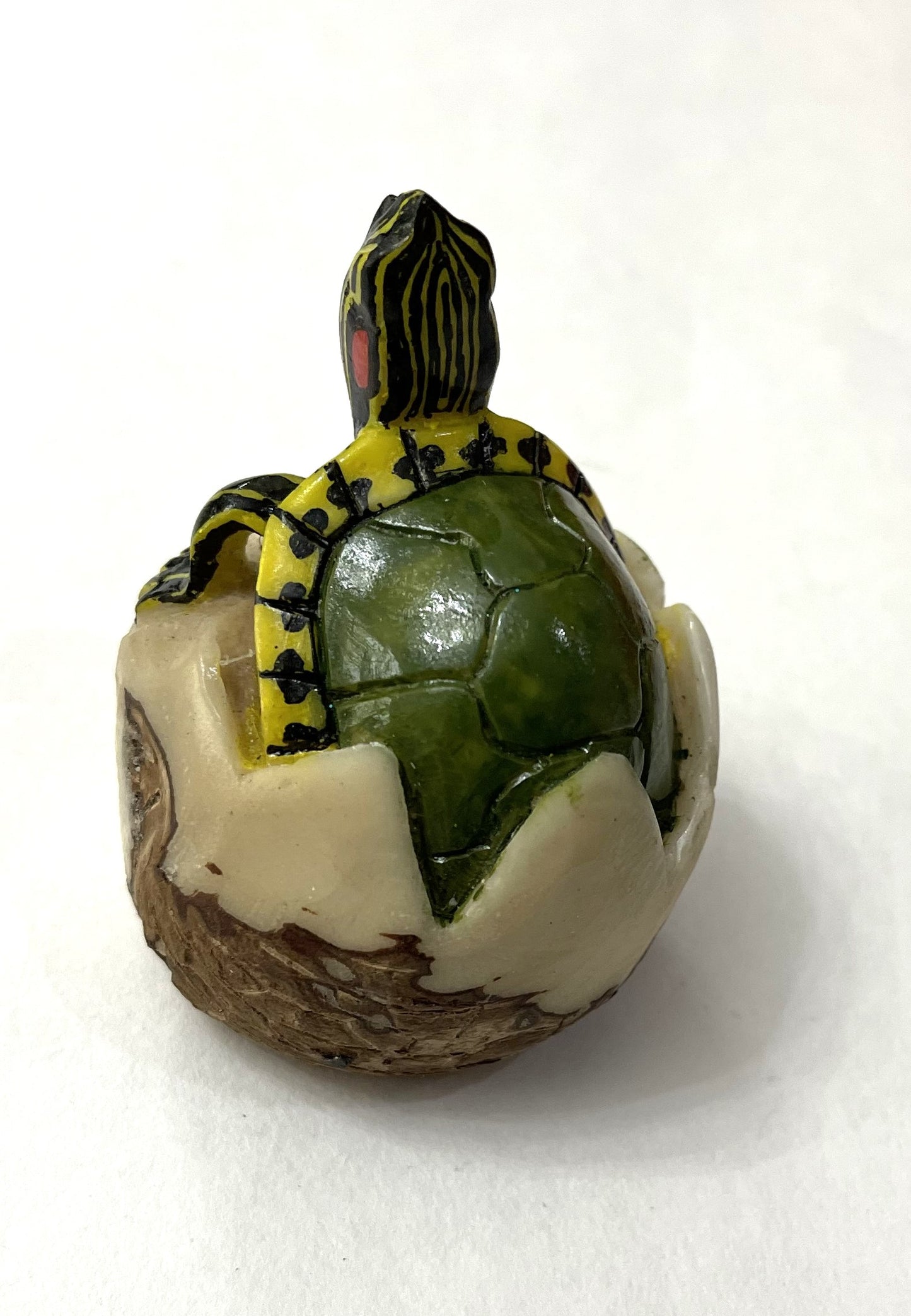 Turtle Tortoise Tagua Carving Rainforest Panama