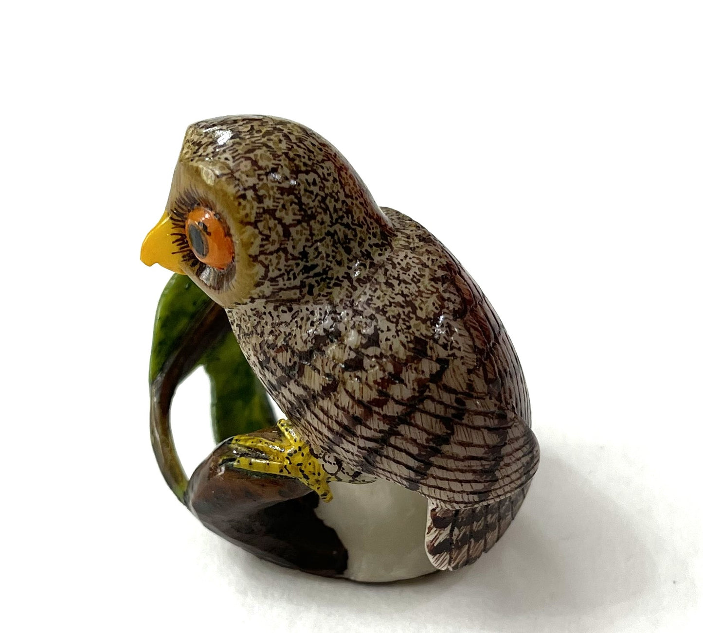 Big Eye Owl Bird Tagua Carving Rainforest Panama