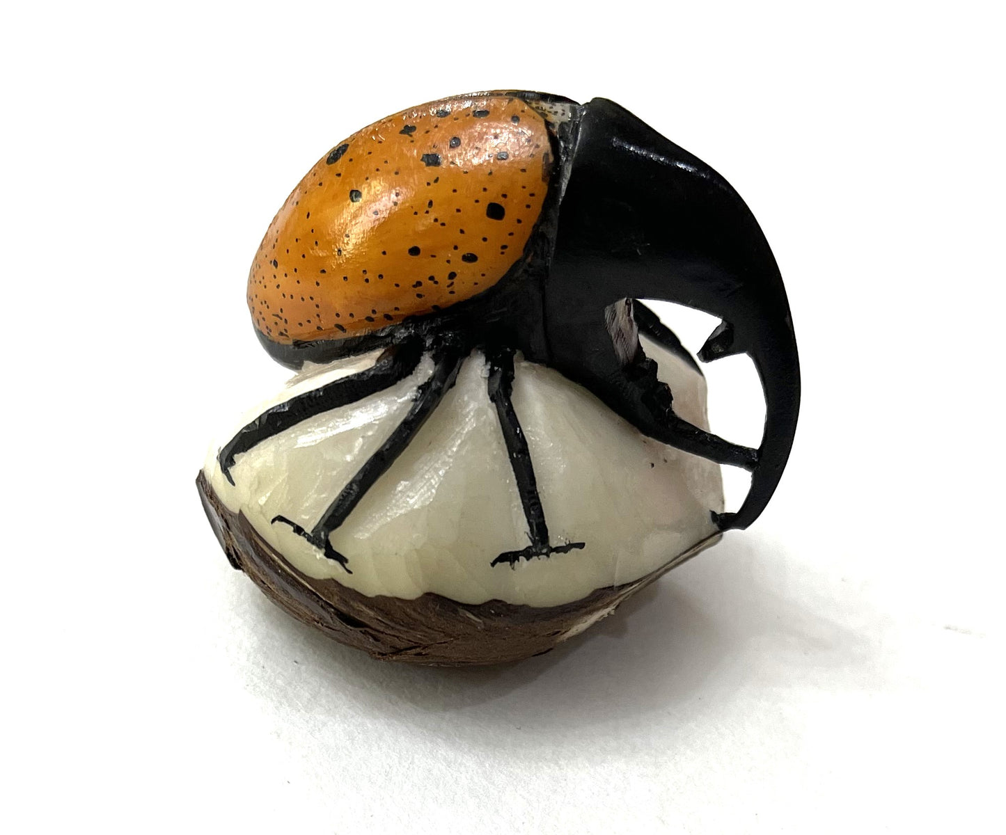 Rhino Beetle Bug Tagua Carving Rainforest Panama