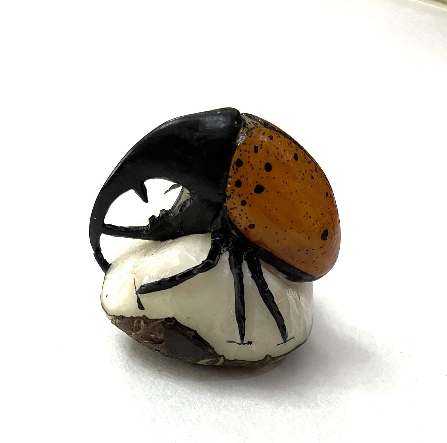 Rhino Beetle Bug Tagua Carving Rainforest Panama