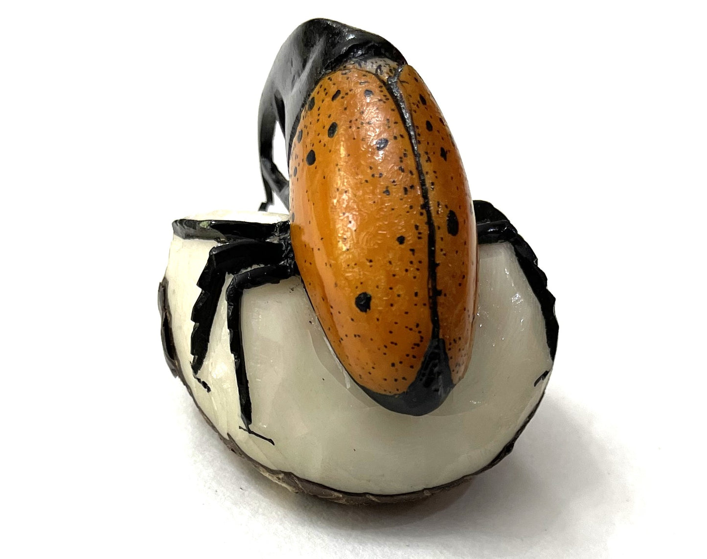 Rhino Beetle Bug Tagua Carving Rainforest Panama