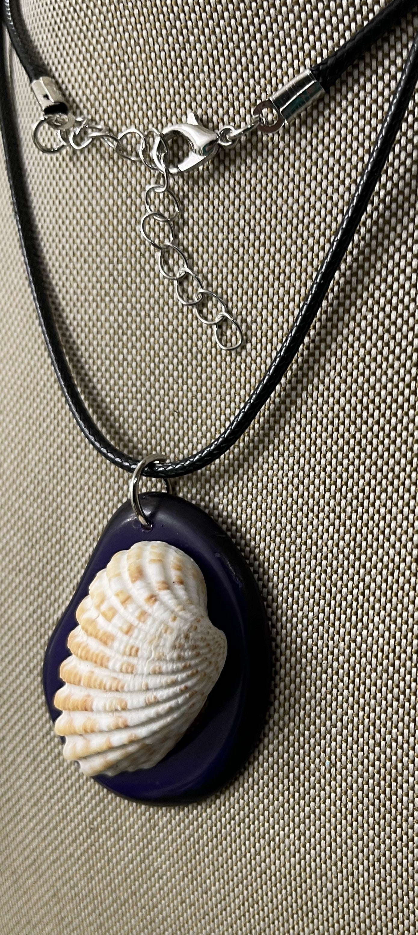 Ocean Seashell On Tagua Petal Carving Rainforest Panama