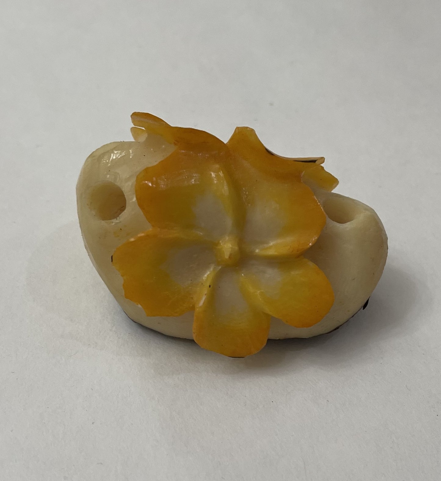 Tagua Nut Flower Petal Carving Rainforest Panama