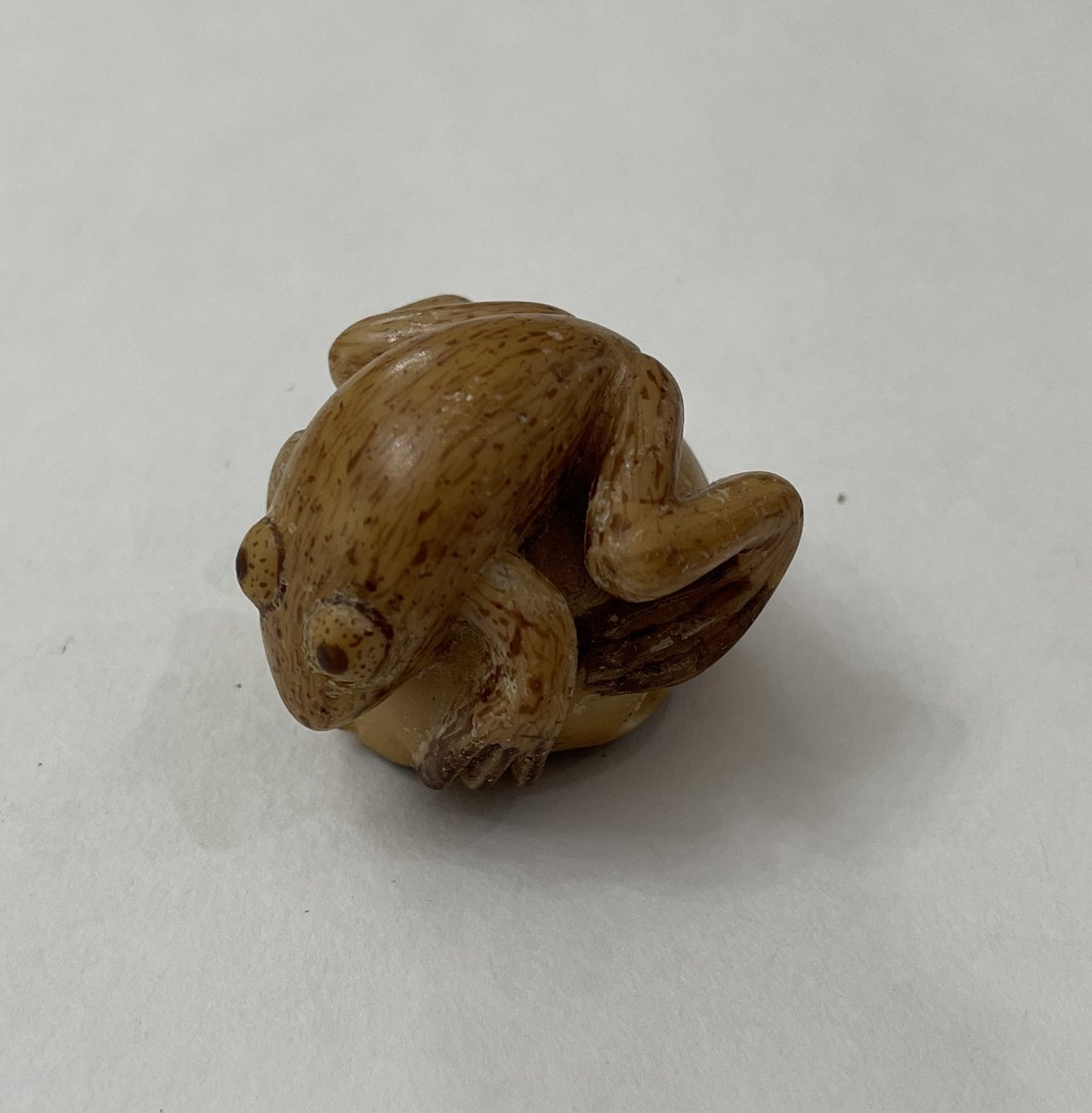 Vintage Bug-Eye Bull Frog Tagua Carving Rainforest Panama