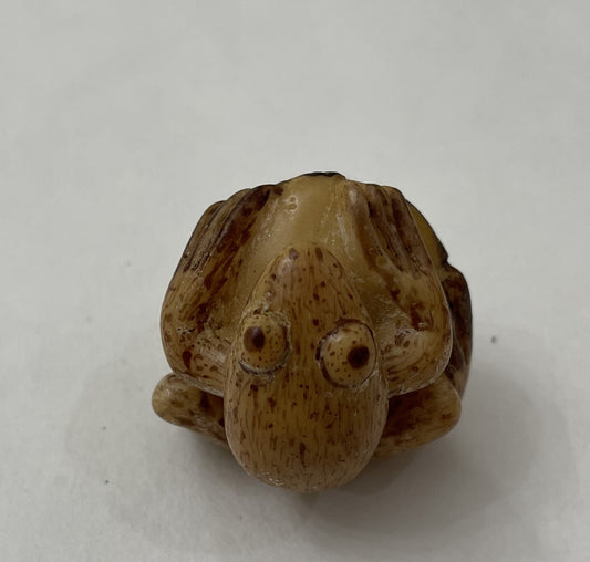 Vintage Bug-Eye Bull Frog Tagua Carving Rainforest Panama