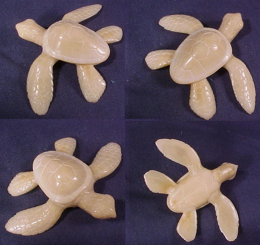 Super Wounaan Indian White Tagua Turtle Carving-Panama 20120404L