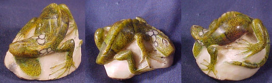 Wounaan Indian Hand Carved Iguana Tagua-Panama 20121027L