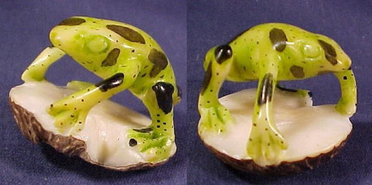 Wounaan Vintage Undercut Tagua Nut Frog Carving-Panama 20121155L
