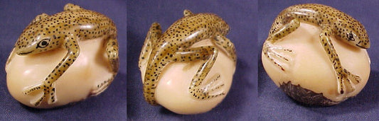 Wounaan Indian Hand Carved Gecko Tagua Nut-Panama 20121029L