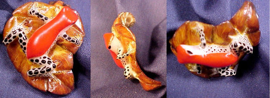 Wounaan Indian Frog Tagua Nut Jewelry Pendant-Panama 20121165L