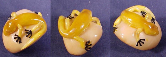 Gorgeous Wounaan Indian Gecko Tagua Nut Carving-Panama 20121164L