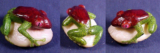 Wounaan Indian Lovely Vintage Tagua Nut Frog Carving-Panama 20121130L