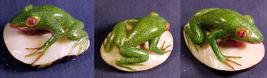 Wounaan Vintage Red-Eyed Tree Frog Tagua Nut Carving-Panama 20121151L