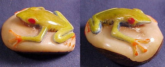 Wounaan Vintage Red-eyed Tree Frog Tagua Nut Carving-Panama 20121139L
