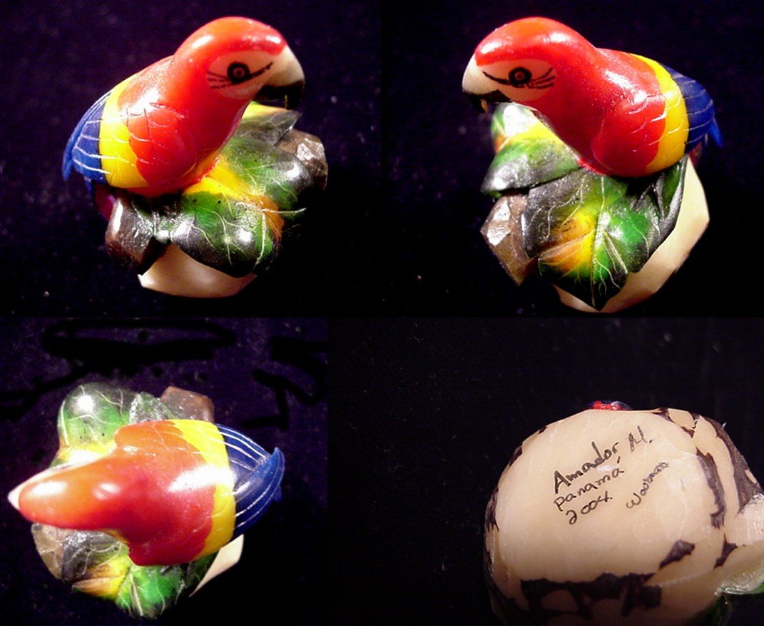 Wounaan Indian Parrot Tagua Carving-Panama 20112111L