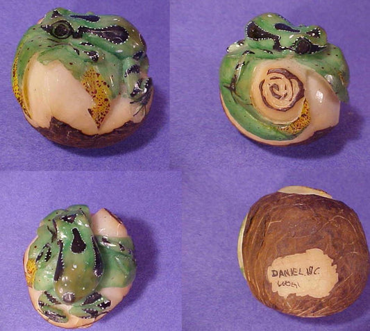 Wounaan Indian LARGE Tagua Nut Frog Carving-Panama 20111411L