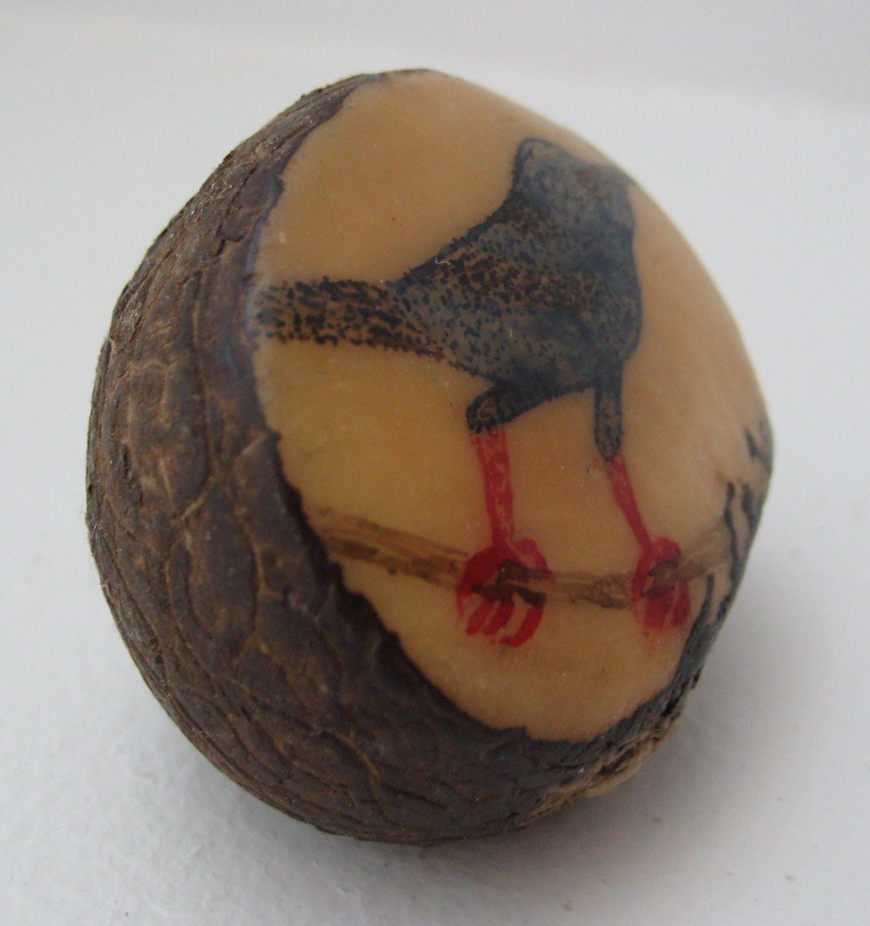 Wounaan Indian Bird Tagua Nut Etching Grabado Carving-Panama 21022126L