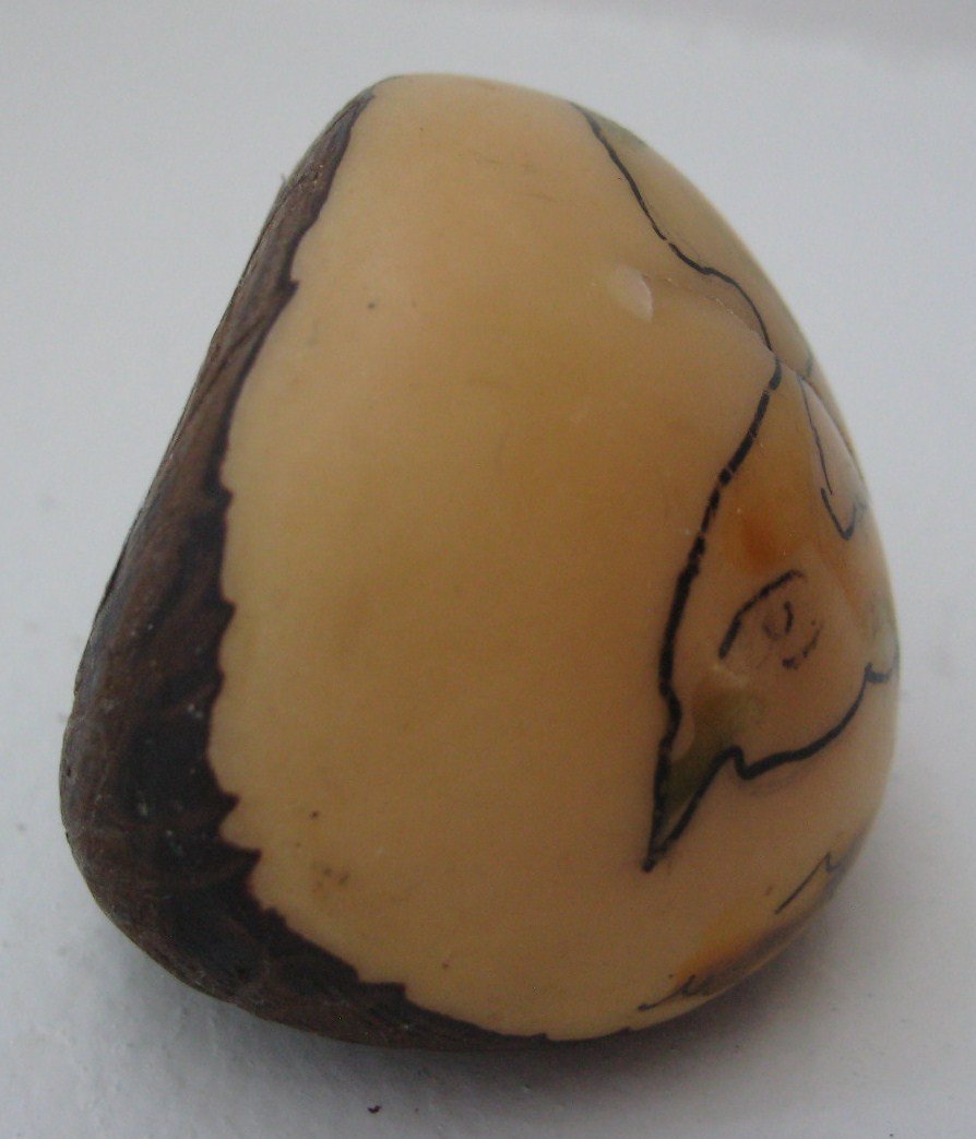 Wounaan Indian (Bird) Grabado Etching Tagua Nut Carving - Panama 21022122L
