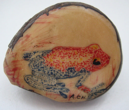 Wounaan Indian Frog Grabado Etching Tagua Carving-Panama 21022124L