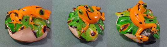 Wounaan Indian Tagua Nut Gold Frog Carving-Panama 20111412L