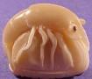 Wounaan Indian Hand Carved Tagua Nut Shrimp Carving-Panama 21010101L