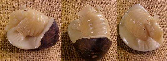 Wounaan Indian Tagua Nut Armadillo Carving-Panama 20123044L