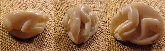 Wounaan Indian Hand Carved Tagua Nut Anteater-Panama 20122865L