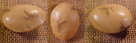 Wounaan Hand Carved Tagua Nut Turtle Shell Pendant-Panama 20123056L