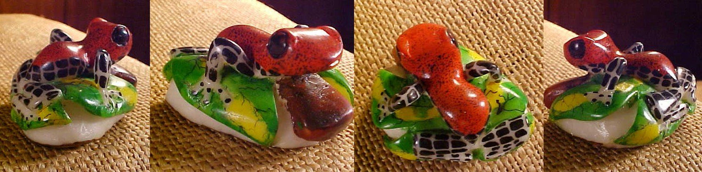 Wounaan Indian Hand Carved Frog Tagua Nut -Panama 20122851L