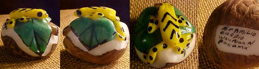 Wounaan Indian Hand Carved Tagua Nut Frog-Panama 20122849L