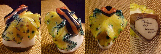 Wounaan Indian Tagua Nut Frog Pedestal Carving-Panama 20123039L
