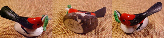 Wounaan Indian Hand Carved Bird & Worm Tagua Nut-Panama 20123057L