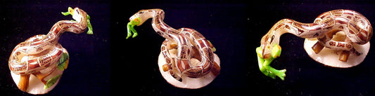 Wounaan Indian Tagua Carving Boa Snake & Frog-Panama 21043015L