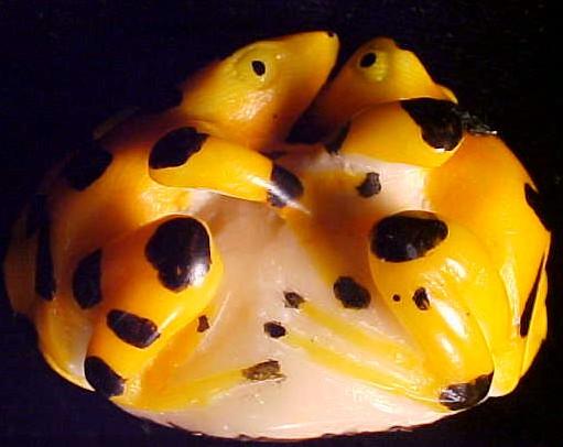 Wounaan Indian Double Golden Frog Tagua Carving-Panama 21043031L