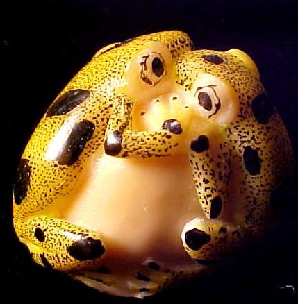 Wounaan Indian Double Frog Tagua Carving-Panama 21043032L