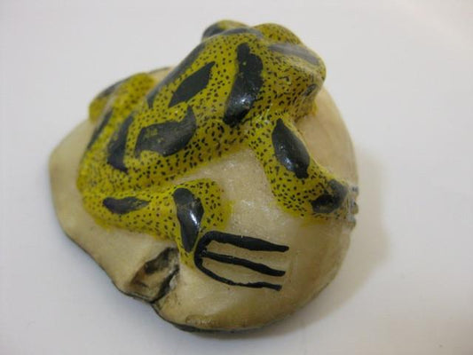 Traderbrock Wounaan Embera Tagua Frog Carving-Panama #83913