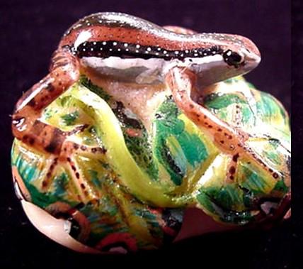 Wounaan Indian Elegant Frog Tagua Carving-Panama 21050414L