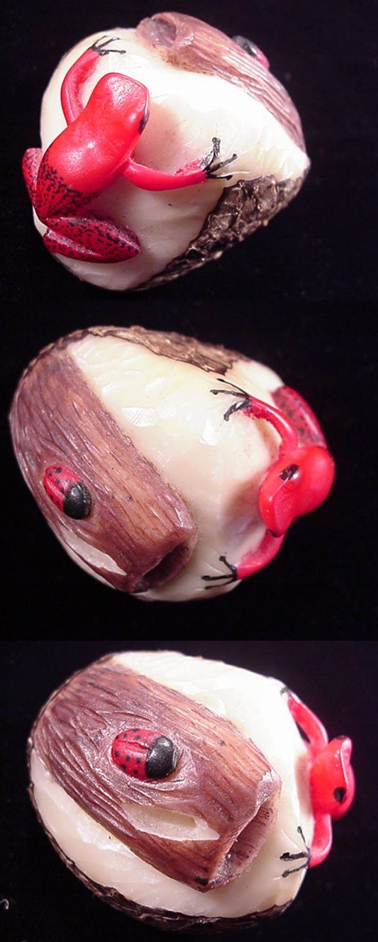 Wounaan Indian Frog & Ladybug Tagua Carving-Panama 21042909L