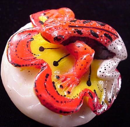 Wounaan Indian Red & White Frog Tagua Carving-Panama 21042915L