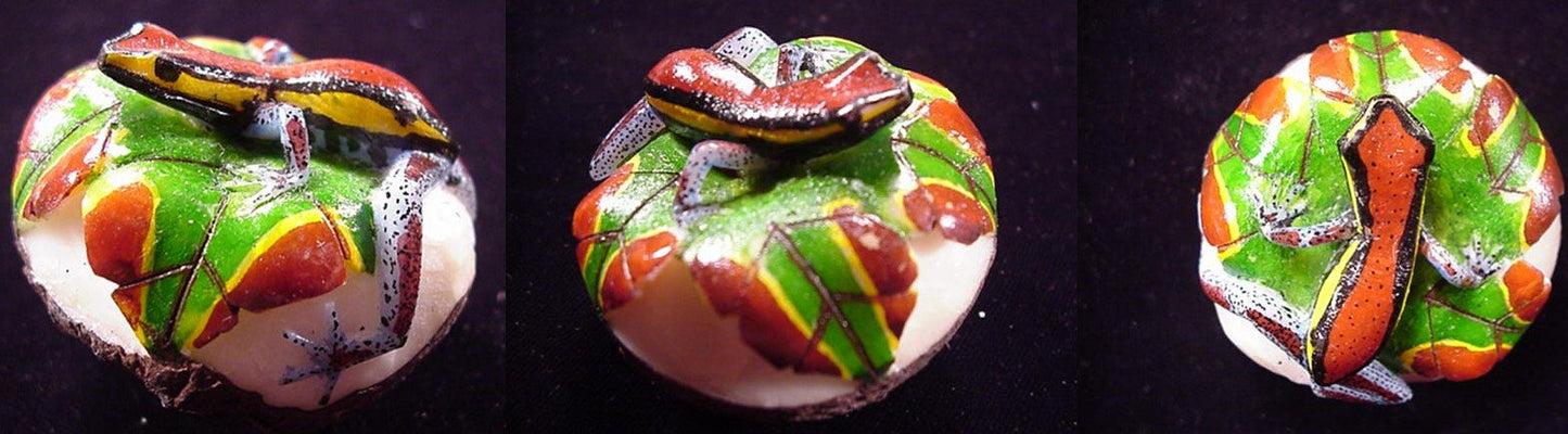 Wounaan Indian Frog Tagua Carving-Panama 21042907L