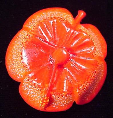 Wounaan Indian Hand Carved Hibiscus Pendant Carving-Panama 20092548L