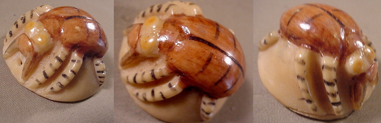 Wounaan Indian Insect Bug Tagua Carving-Panama 21042712L