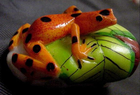 Wounaan Tribe Frog Tagua Carving-Panama 21043005L