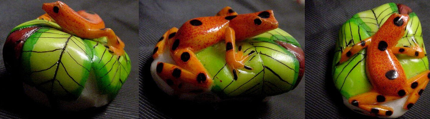 Wounaan Tribe Frog Tagua Carving-Panama 21043005L