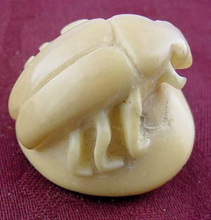 Wounaan White Insect Bug Beetle Tagua Nut Carving-Panama 21021940L