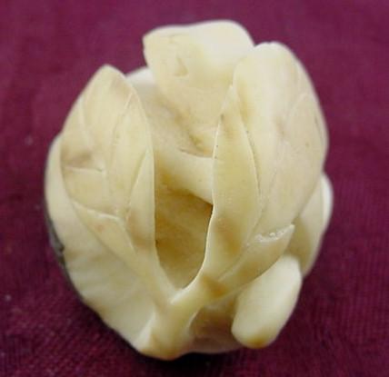 Wounaan Hand Carved White Frog Leaf Tagua Nut Carving-Panama 21021936L